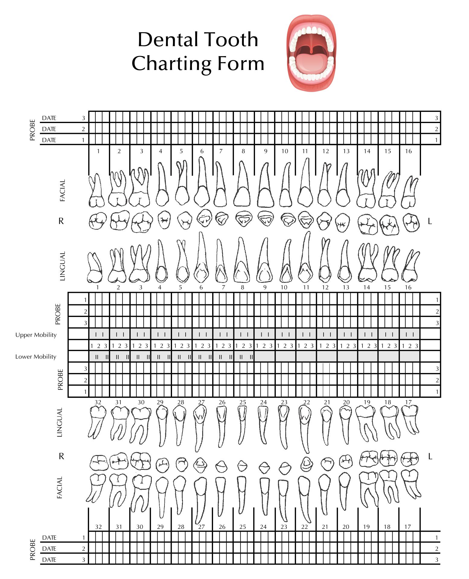 dental chart template