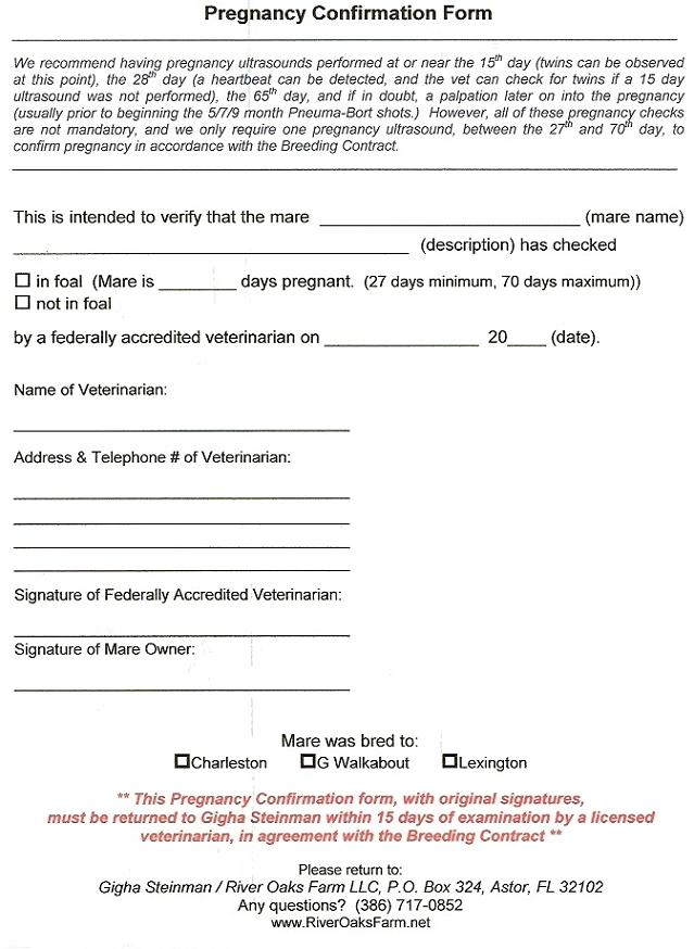 Printable Proof Of Pregnancy Form From Doctor