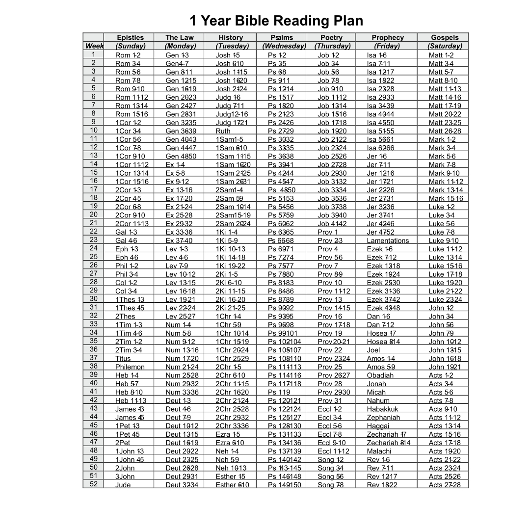 What are some one-year Bible reading plans?