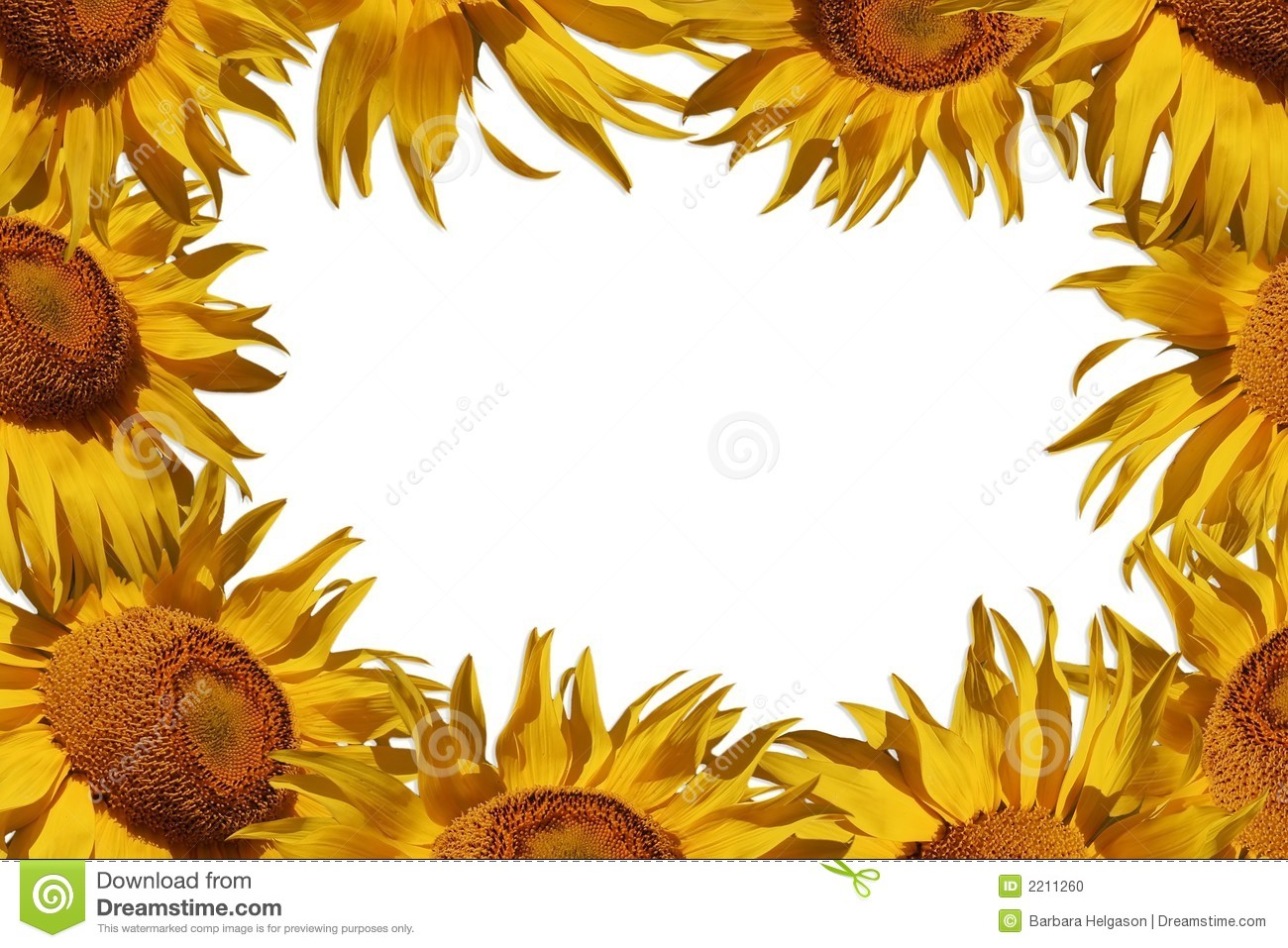 clip art borders sunflowers - photo #35