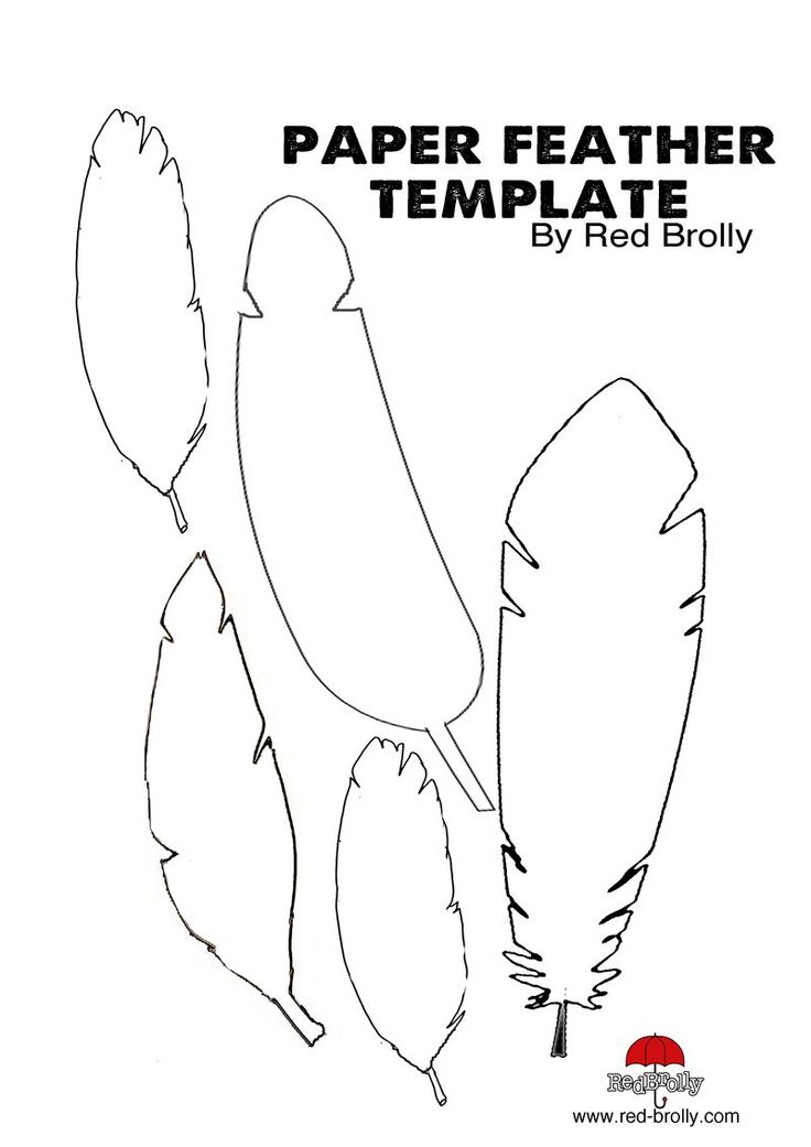 6 Best Images of Printable Bird Paper Feather Paper Feathers Template