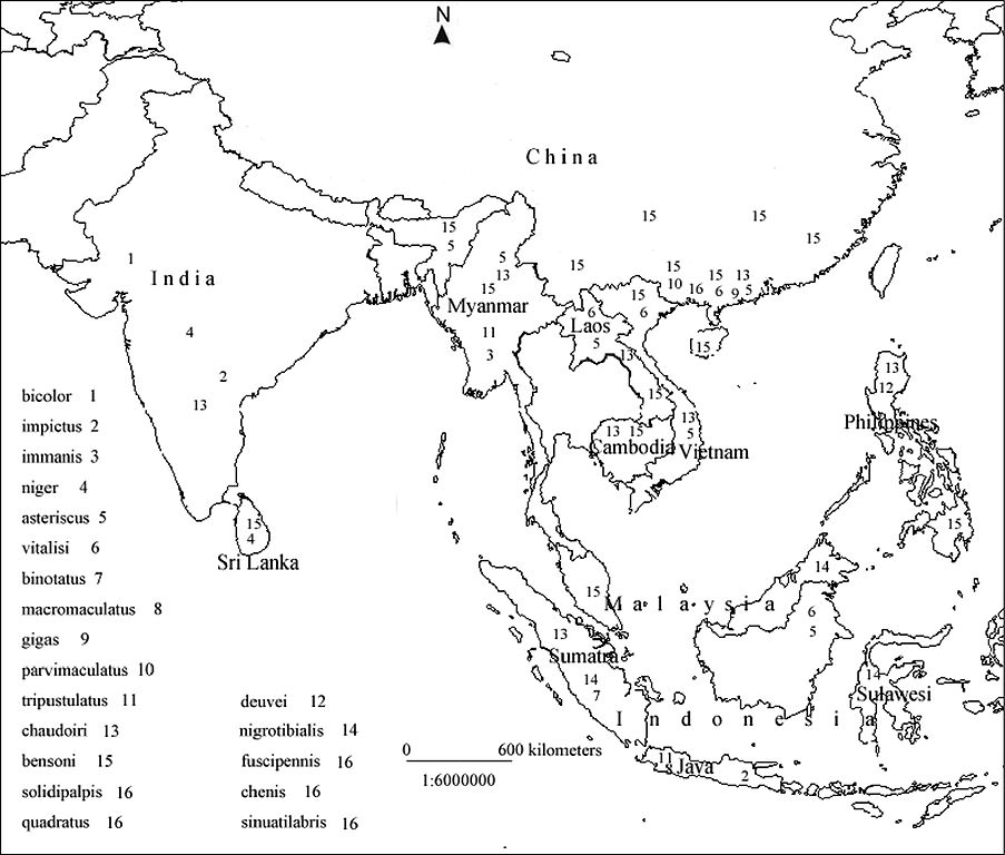 Printable Blank Map Of Southeast Asia Printable Maps Porn Sex Picture