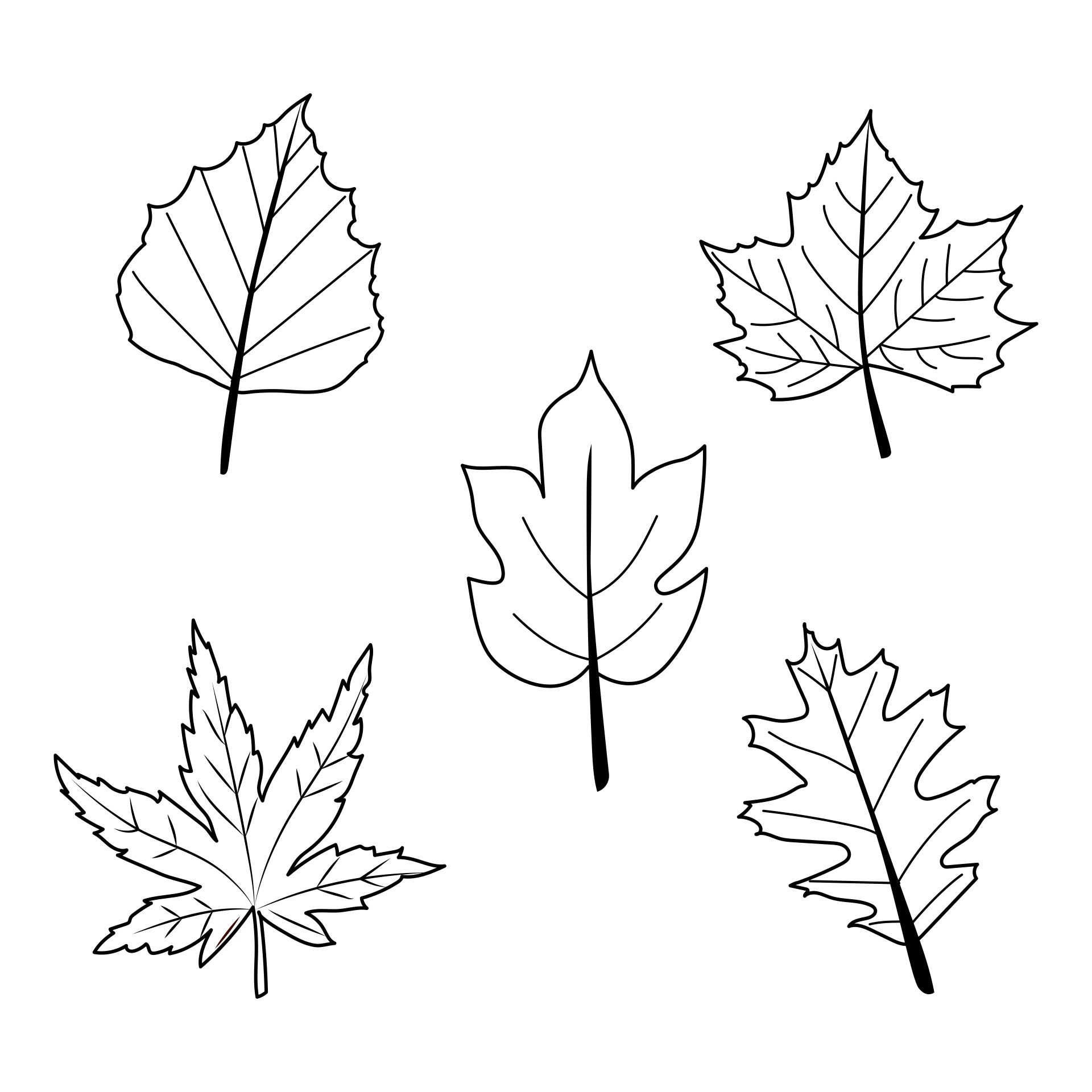 Free Fall Leaves Cut Out Printable