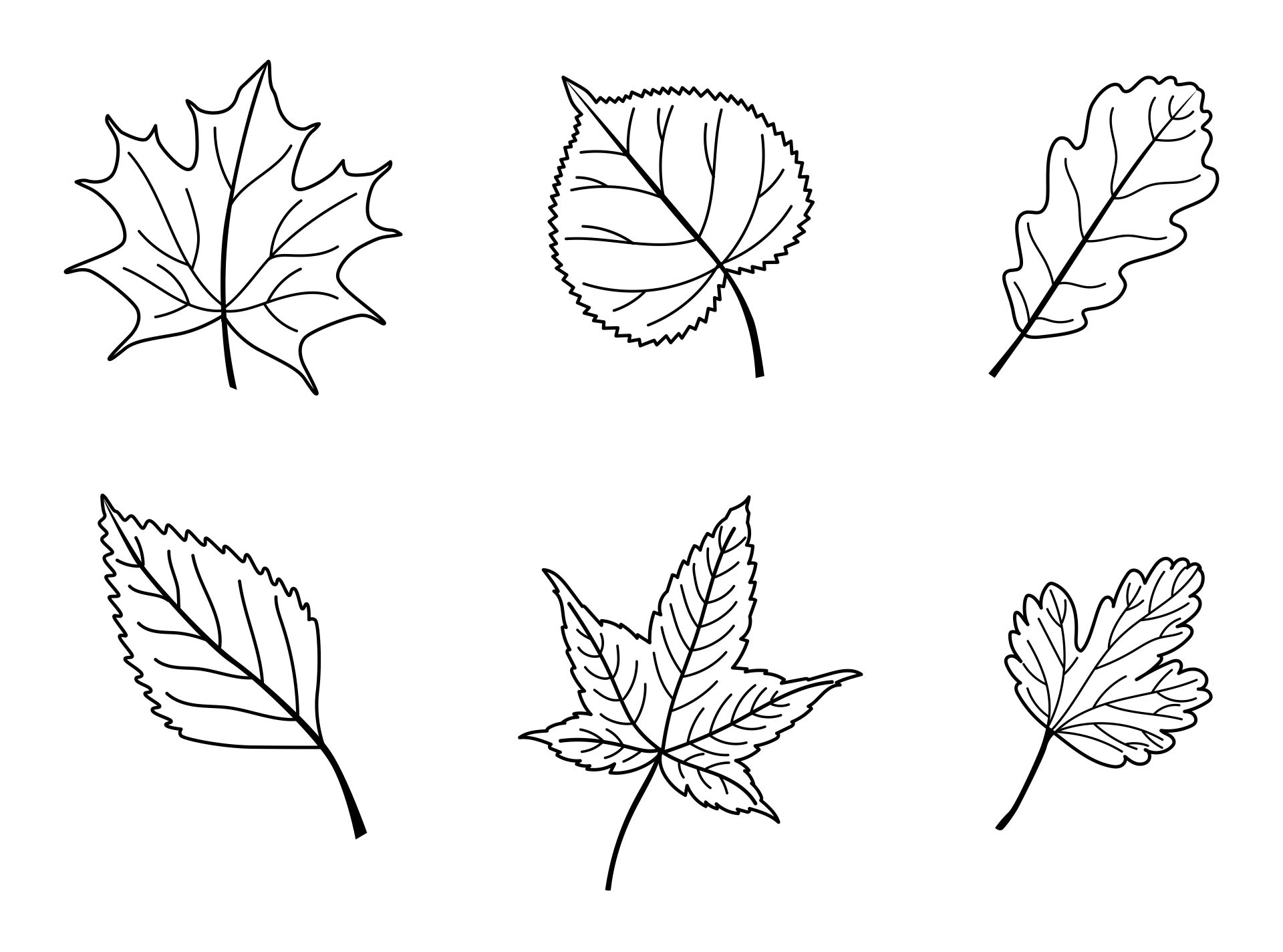 5 Best Images of Printable Fall Leaves Shapes Printable Leaf Shapes