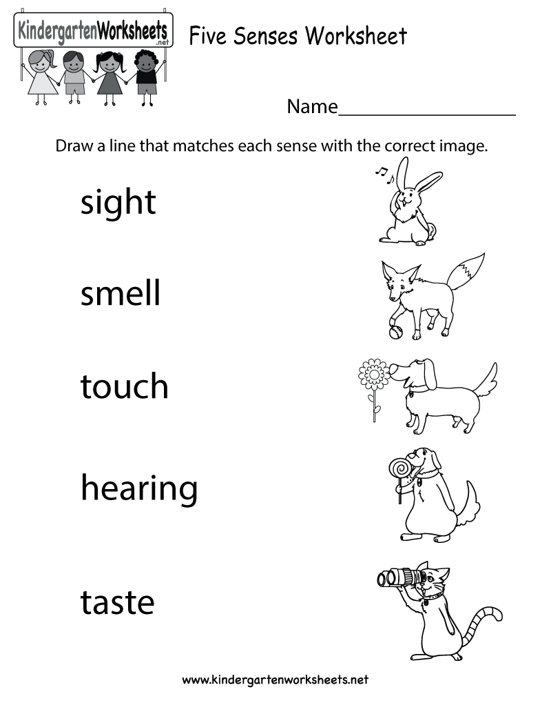 7 Best Images of 5 Senses Preschool Printables - Five Senses Worksheets