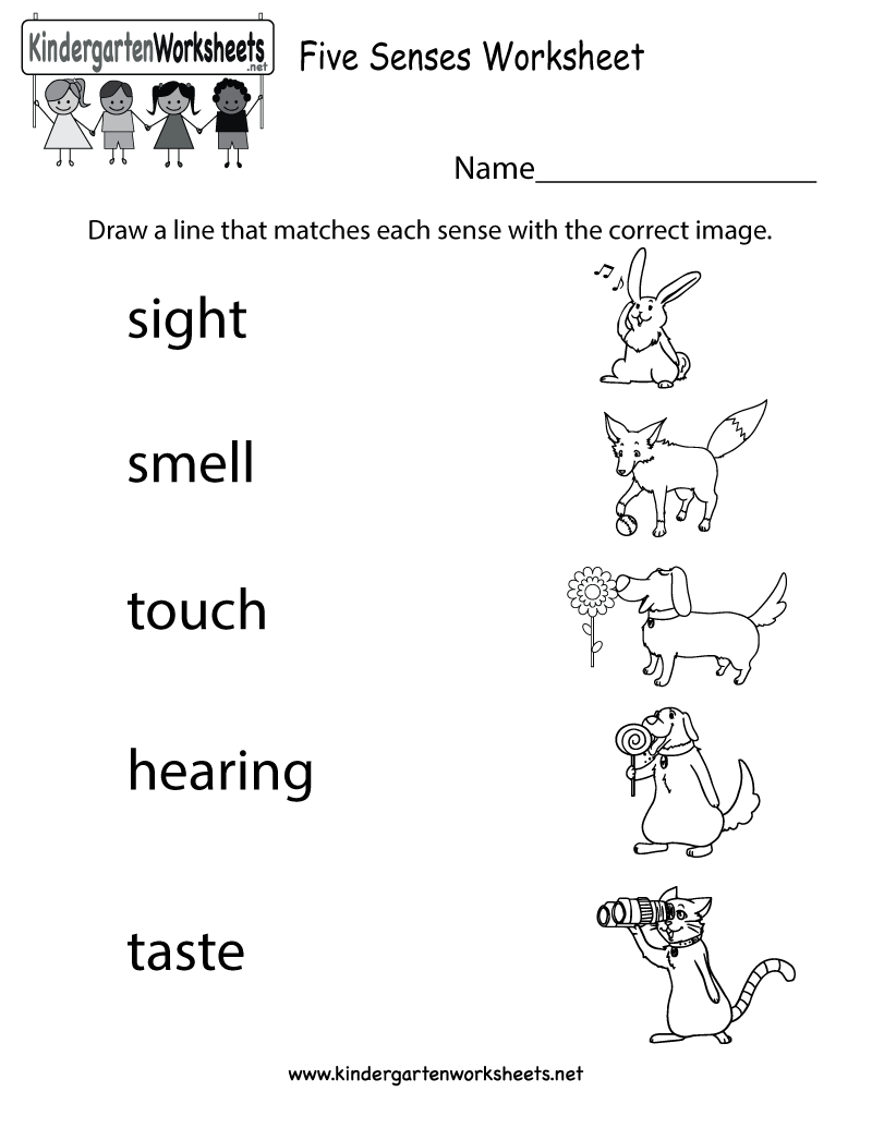 7-best-images-of-5-senses-preschool-printables-five-senses-worksheets