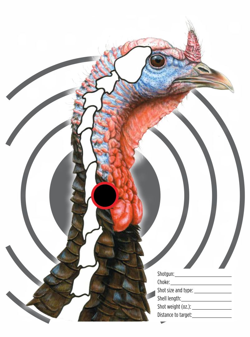 4 Best Images of Printable Turkey Target Real Size Free Turkey Head