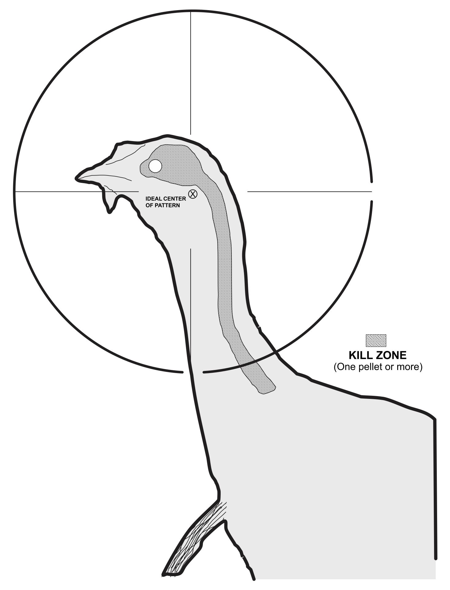 4-best-images-of-printable-turkey-target-real-size-free-turkey-head