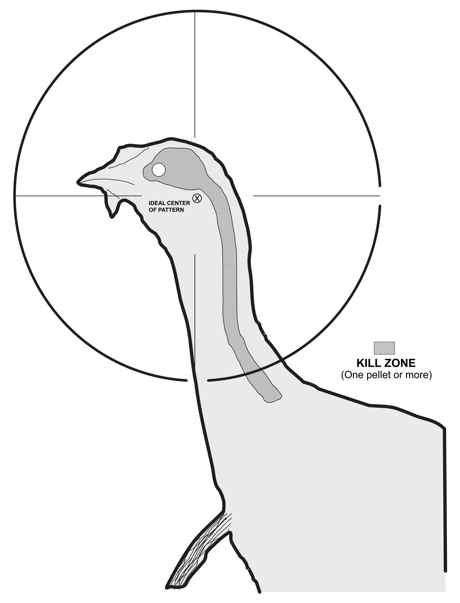 Turkey Shoot Targets Printable