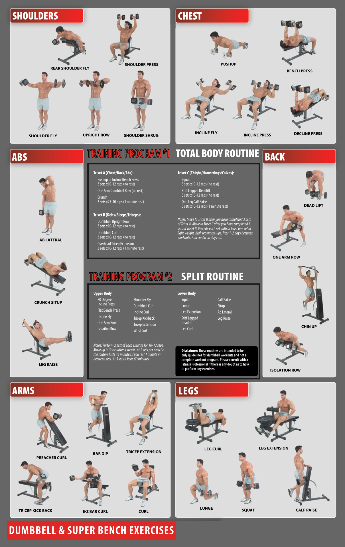 Chart Of Dumbbell Exercises