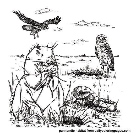 habitats coloring pages for kids - photo #8