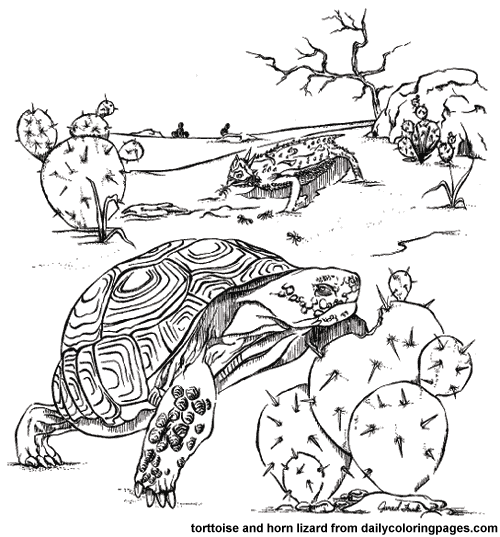 animals in their habitats coloring pages - photo #12