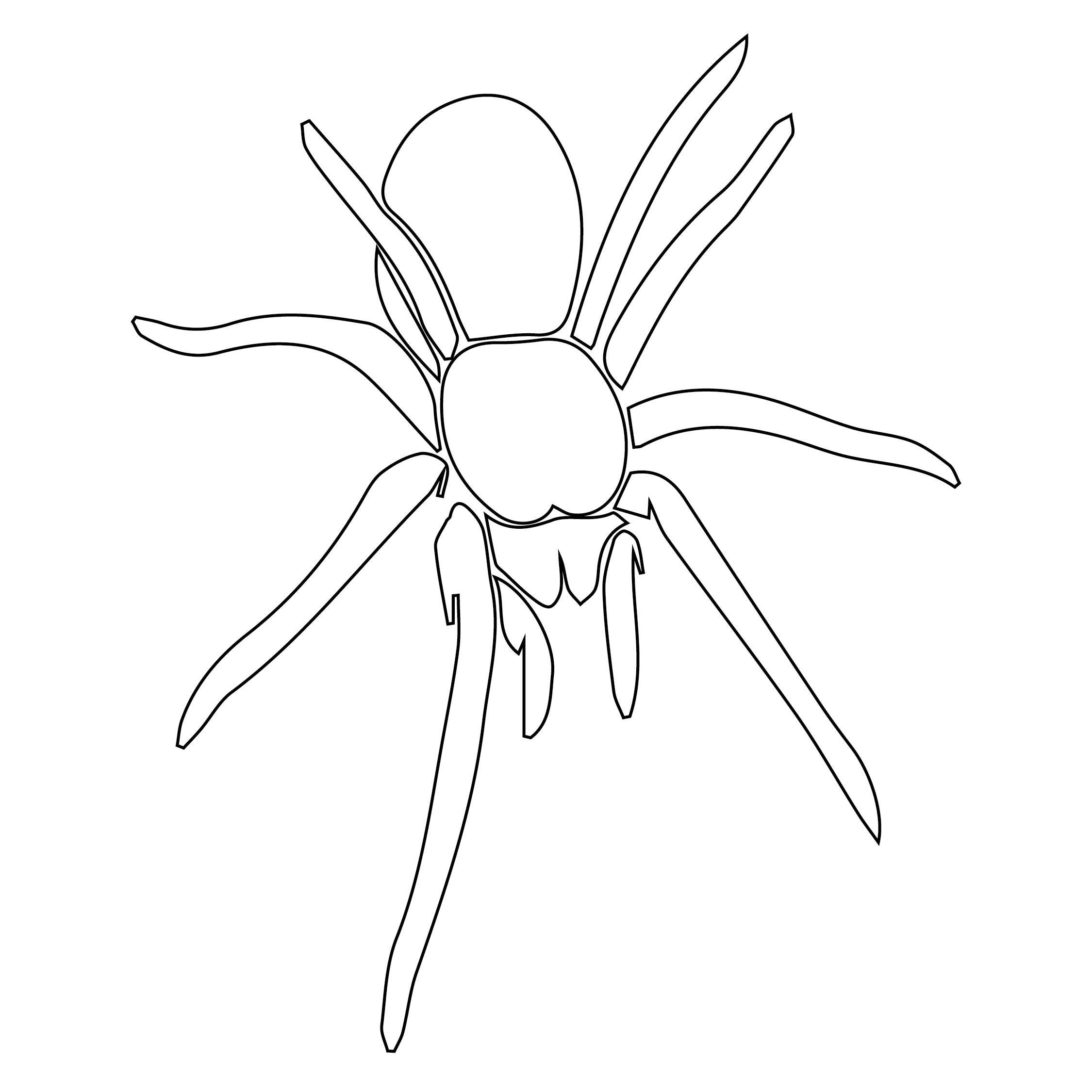 Printable Spider Template Printable Word Searches
