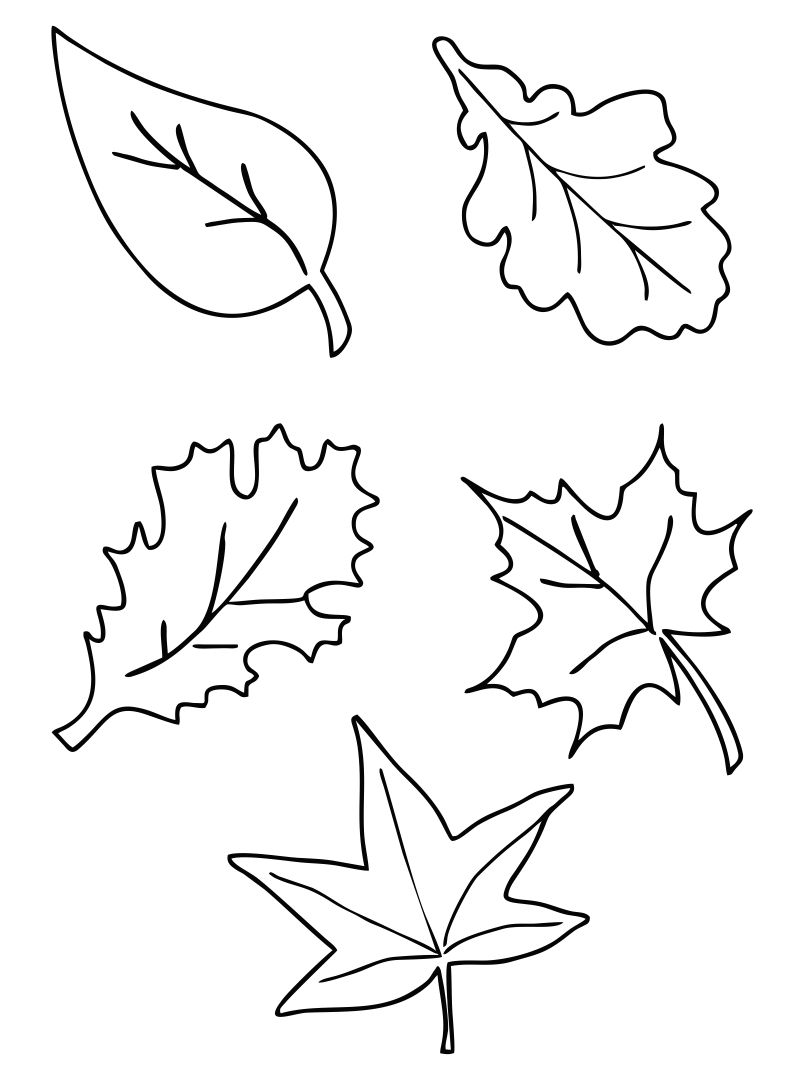 Printable Autumn Leaf Templates