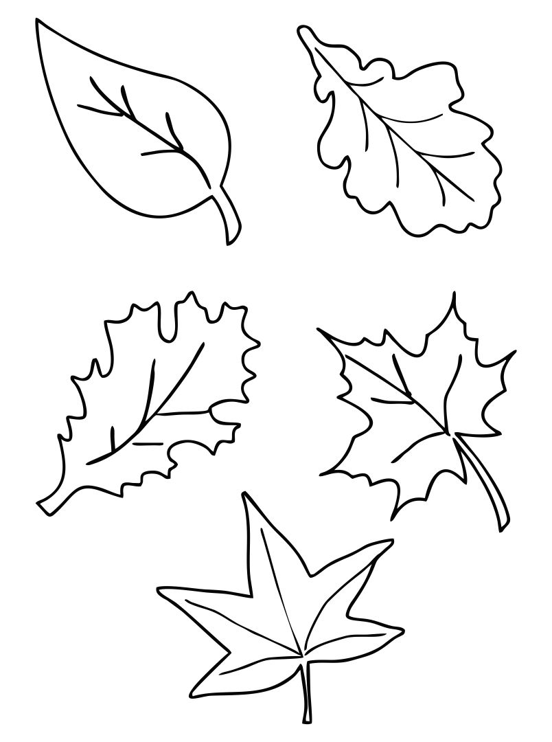 Free Printable Fall Leaves Template