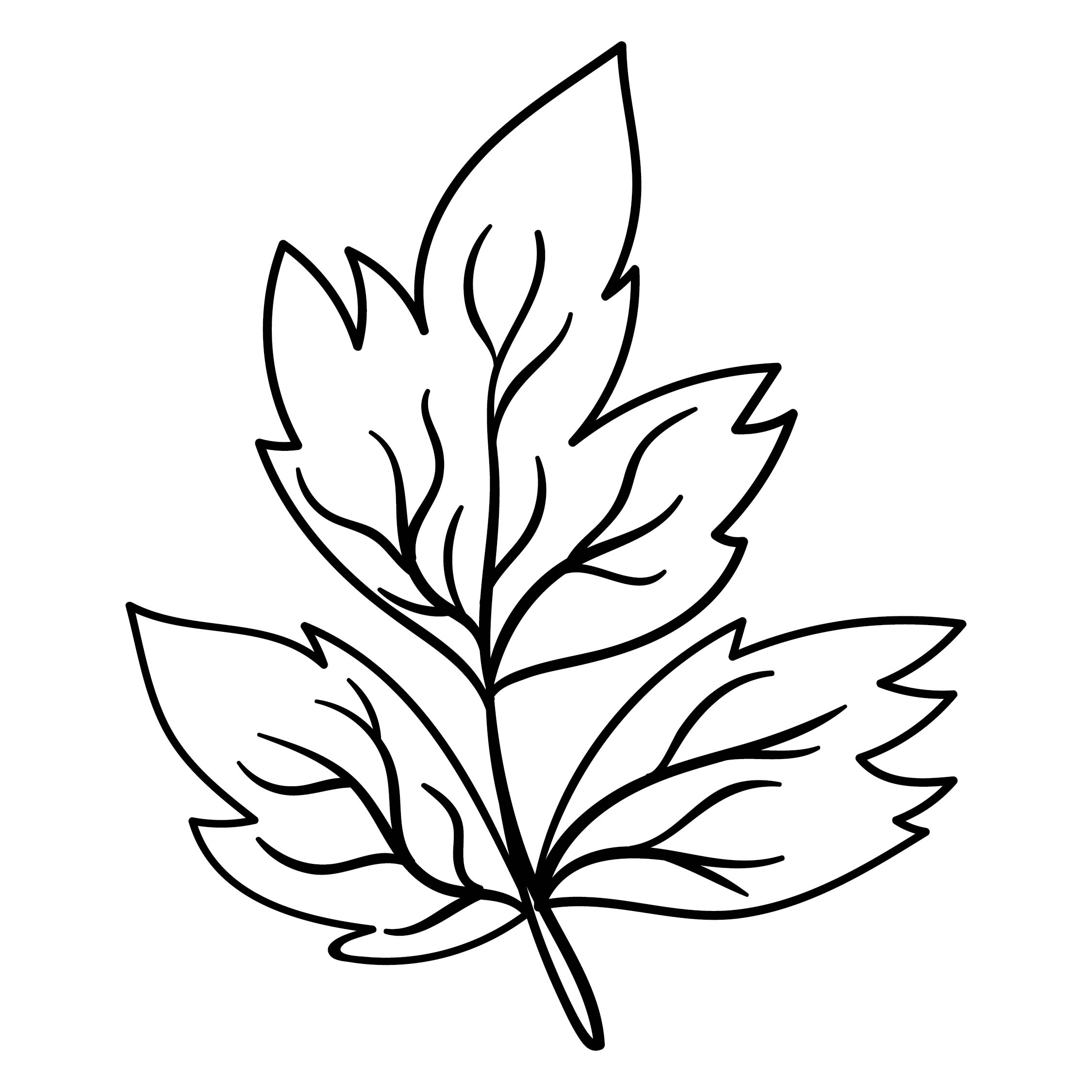 6-best-images-of-oak-leaf-template-printable-acorn-template-for-kids