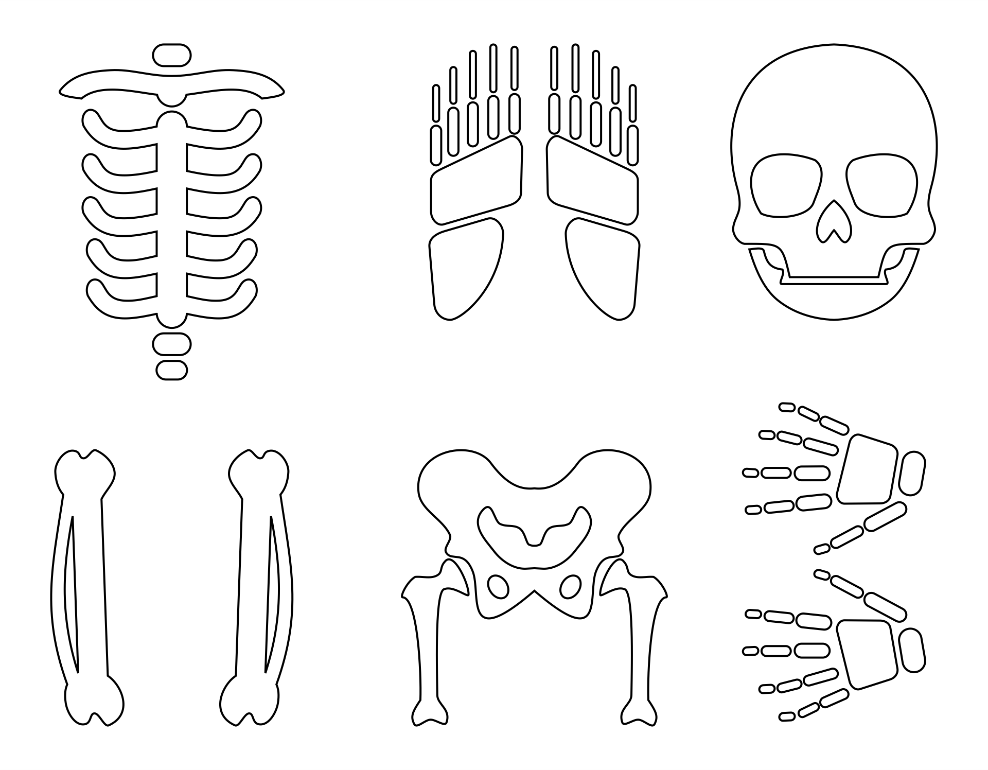 6 Best Images Of Large Printable Skeleton Template Printable Skeleton