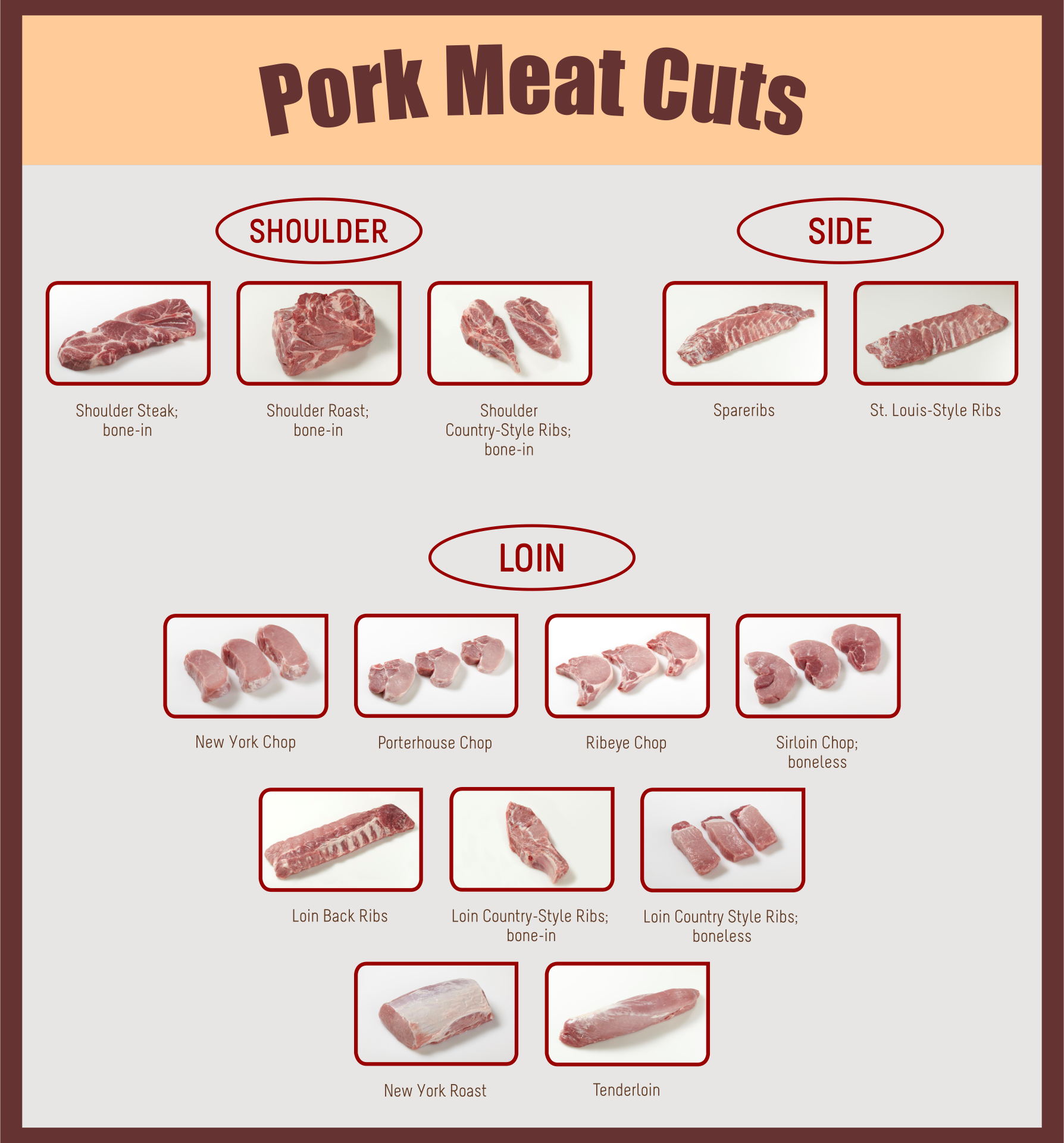 Printable Pork Cuts Chart Printable Word Searches