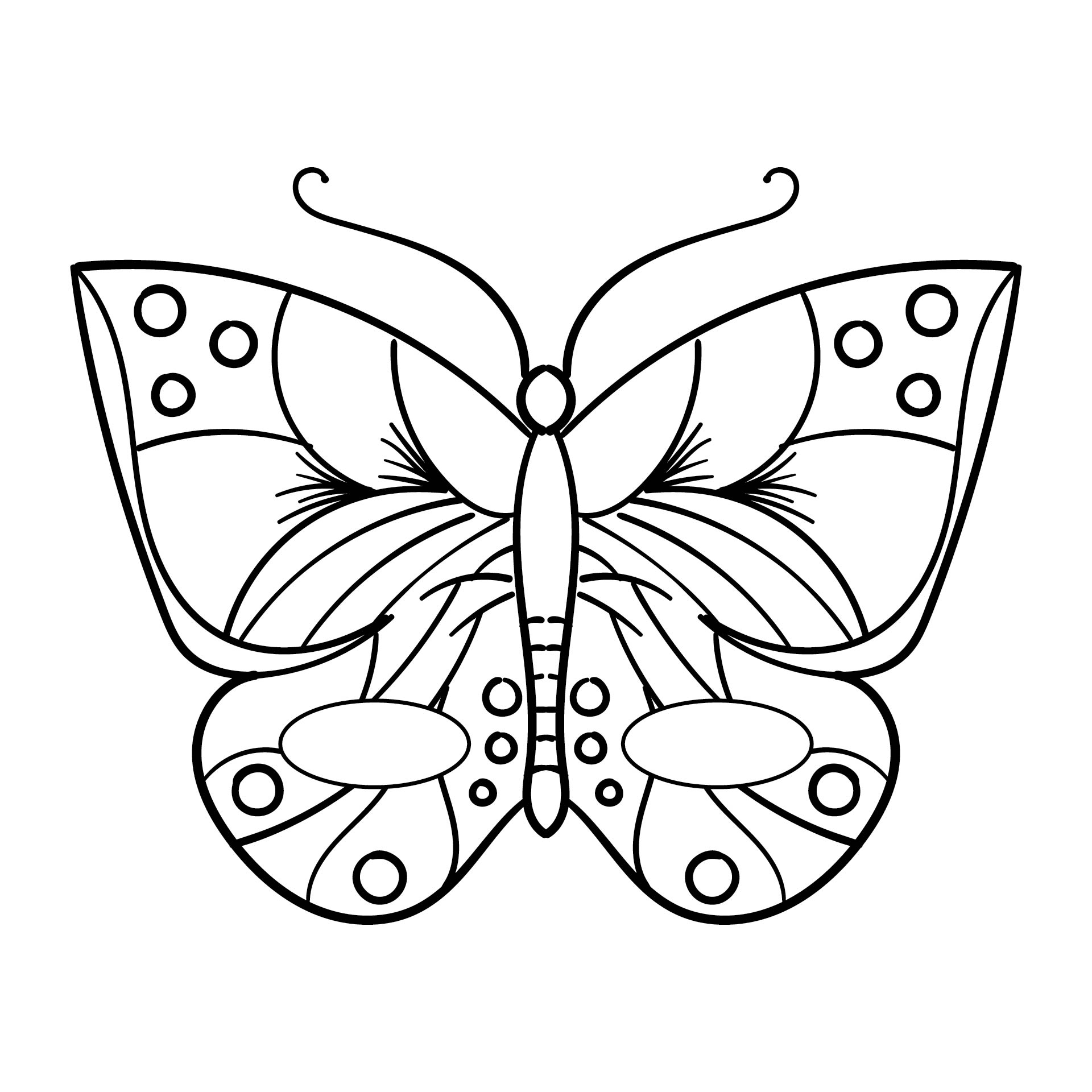 Butterfly Mask Coloring Page Sketch Coloring Page