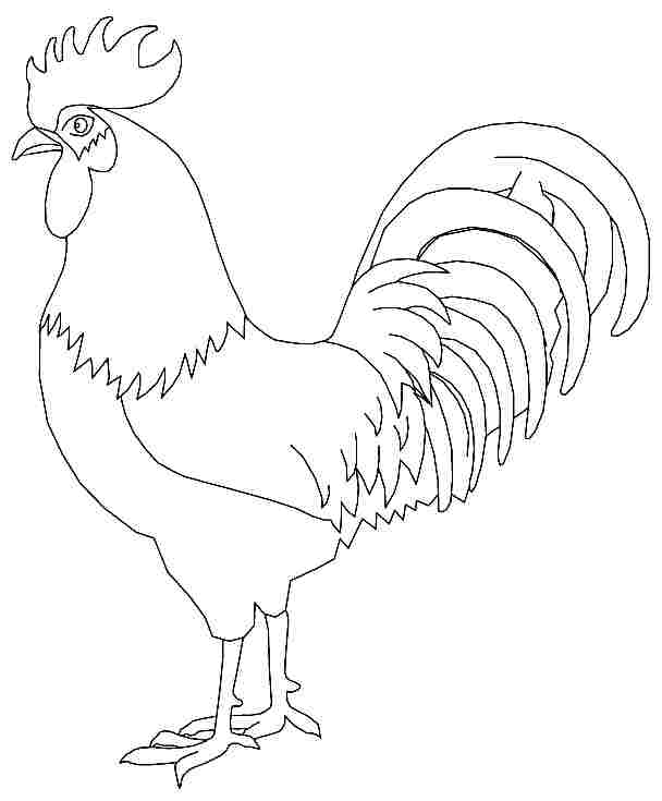 rooster coloring pages  kidsuki