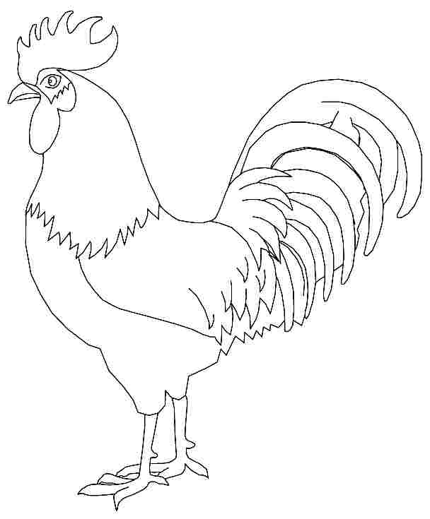 5 Best Images of Free Printable Rooster Coloring Pages