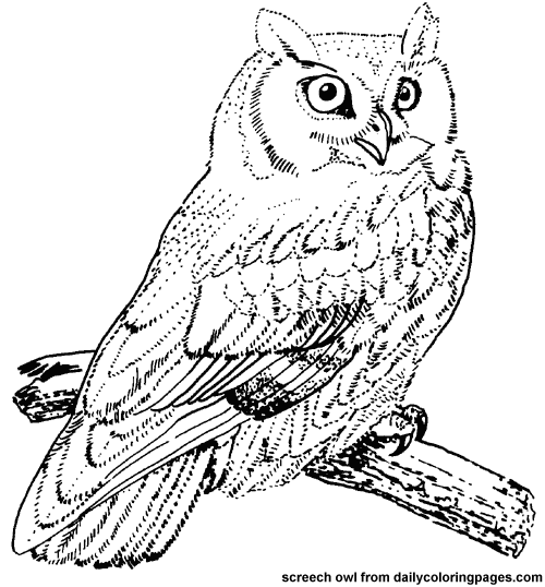 real artist coloring pages - photo #21