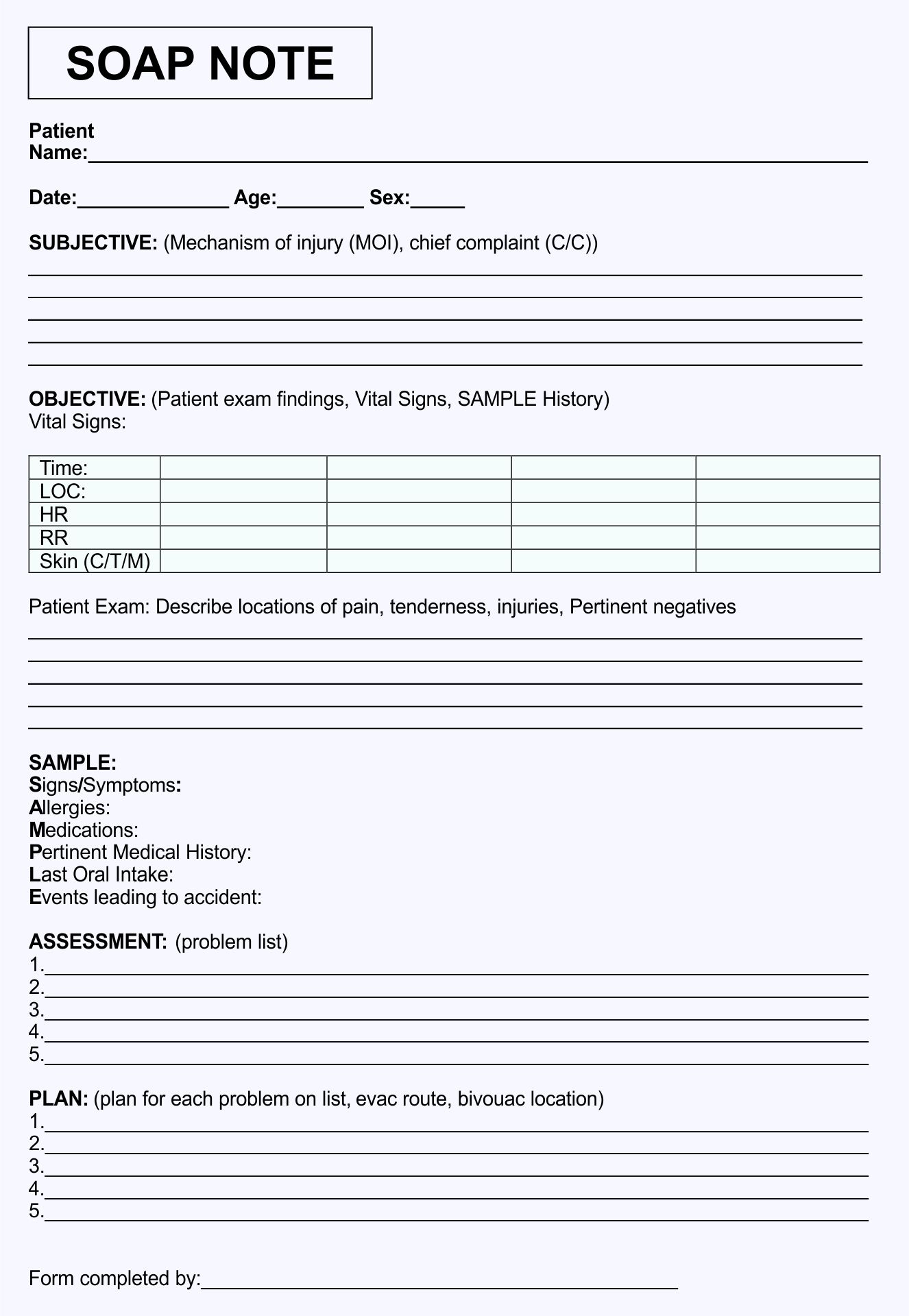 Free Printable Blank Nurses Notes