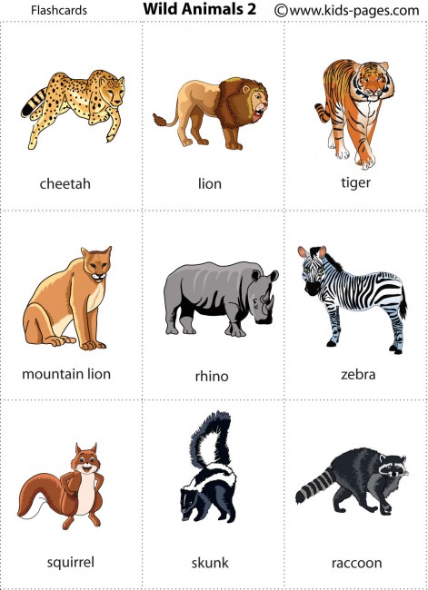 7-best-images-of-printable-animal-pictures-for-preschoolers-printable