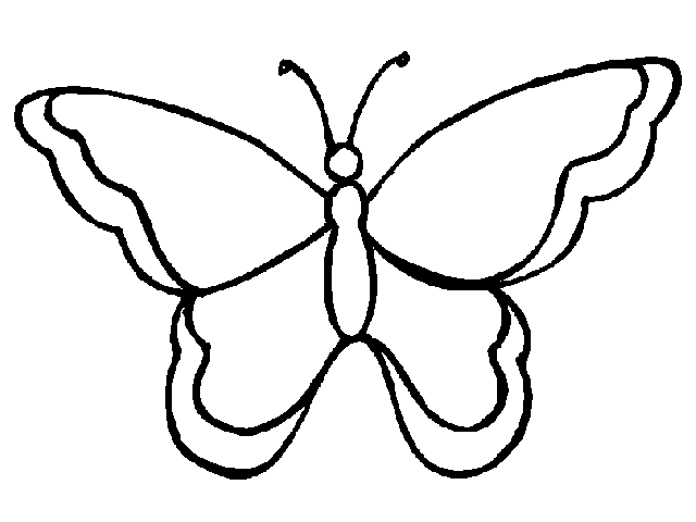 blank-butterfly-template-coloring-home