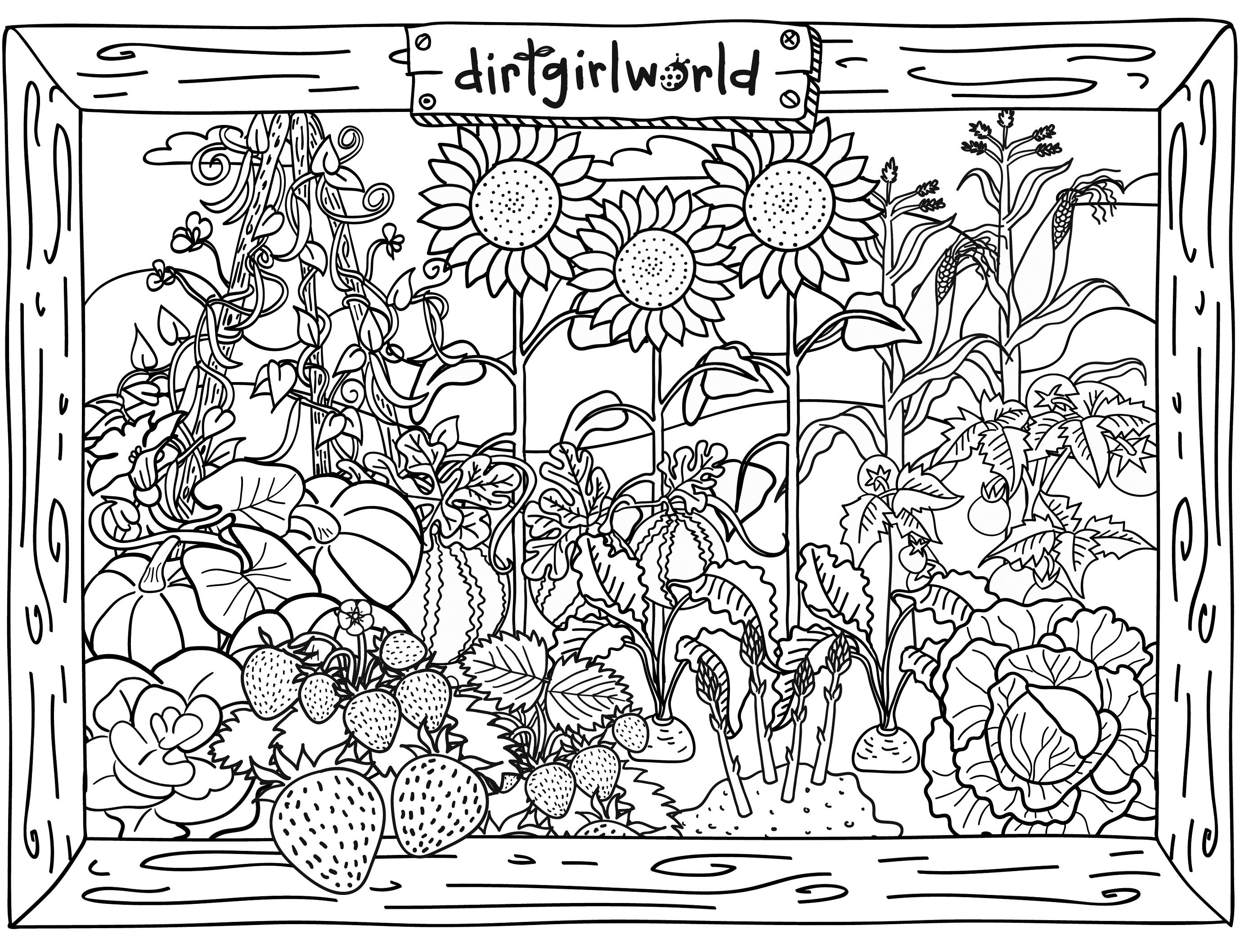 vegetable garden coloring pages for kids - photo #20