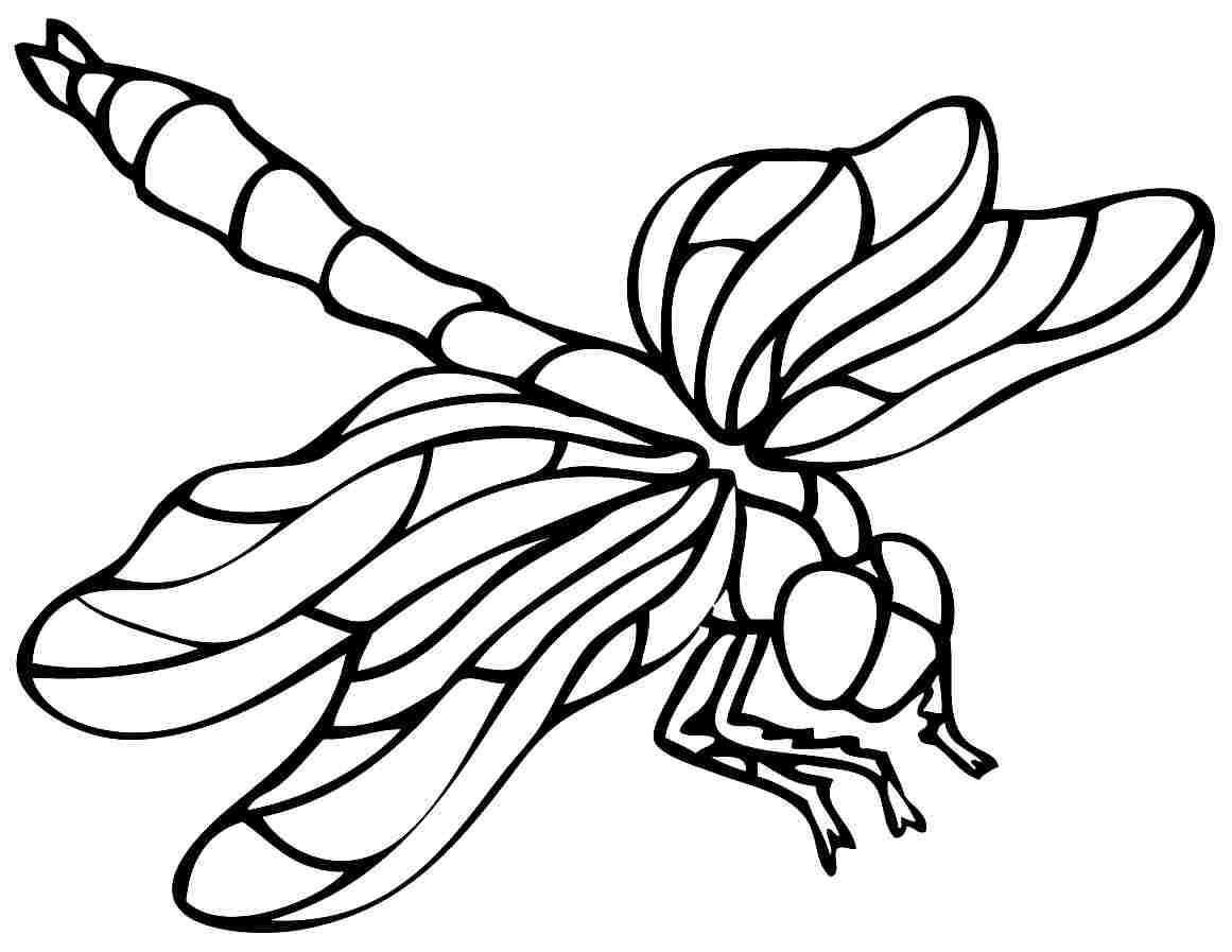 7 Best Images of Dragonfly Printable Coloring Pages - Dragonfly Clip