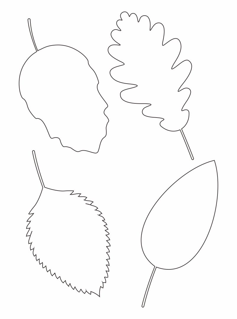 6 Best Images Of Leaf Tracers Printable Maple Leaf Coloring Page Leaves Printable Cut Out 