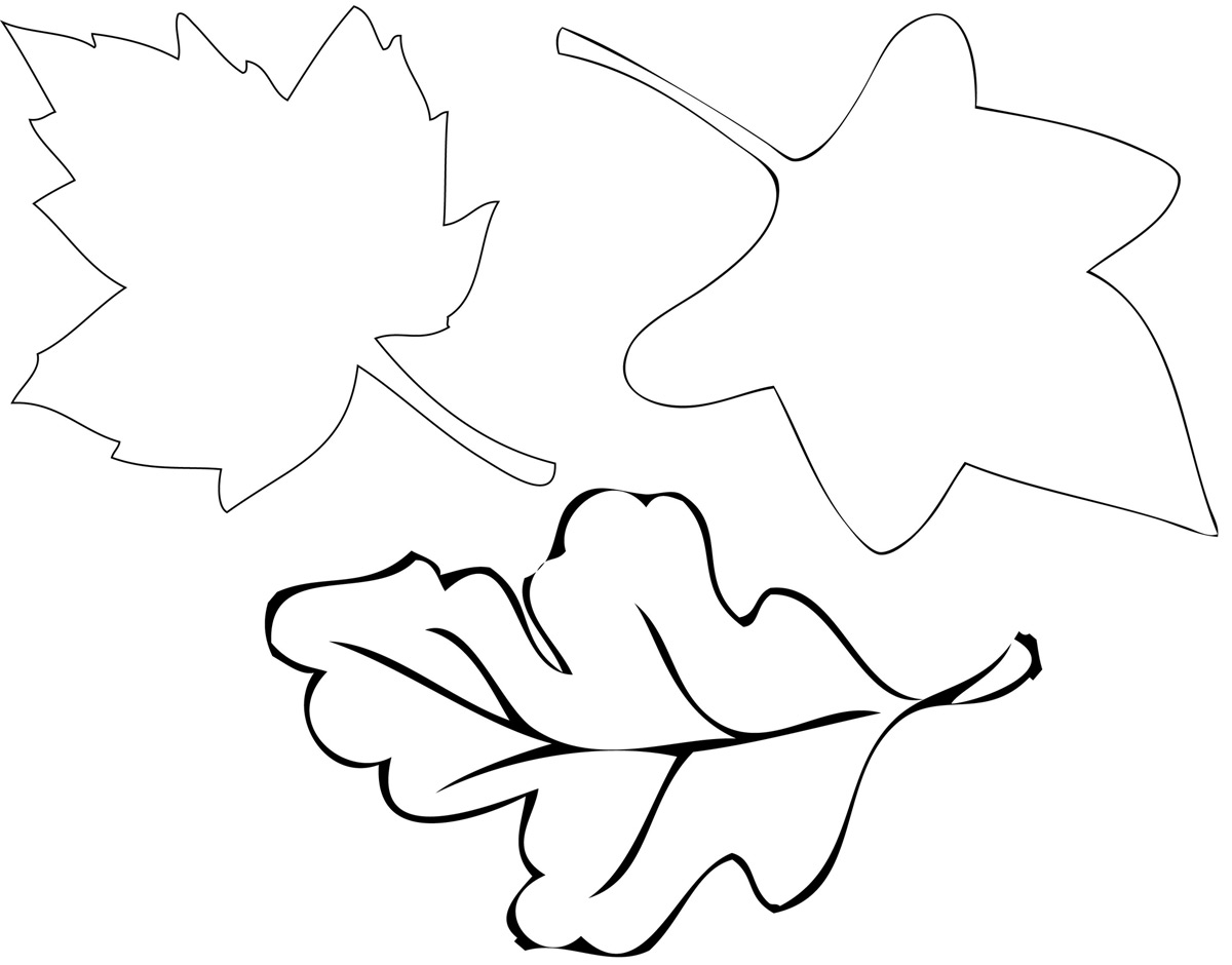 6-best-images-of-leaf-tracers-printable-maple-leaf-coloring-page