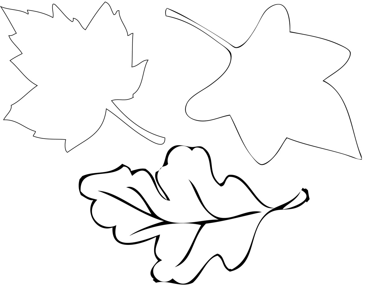 fall leaf cut out template