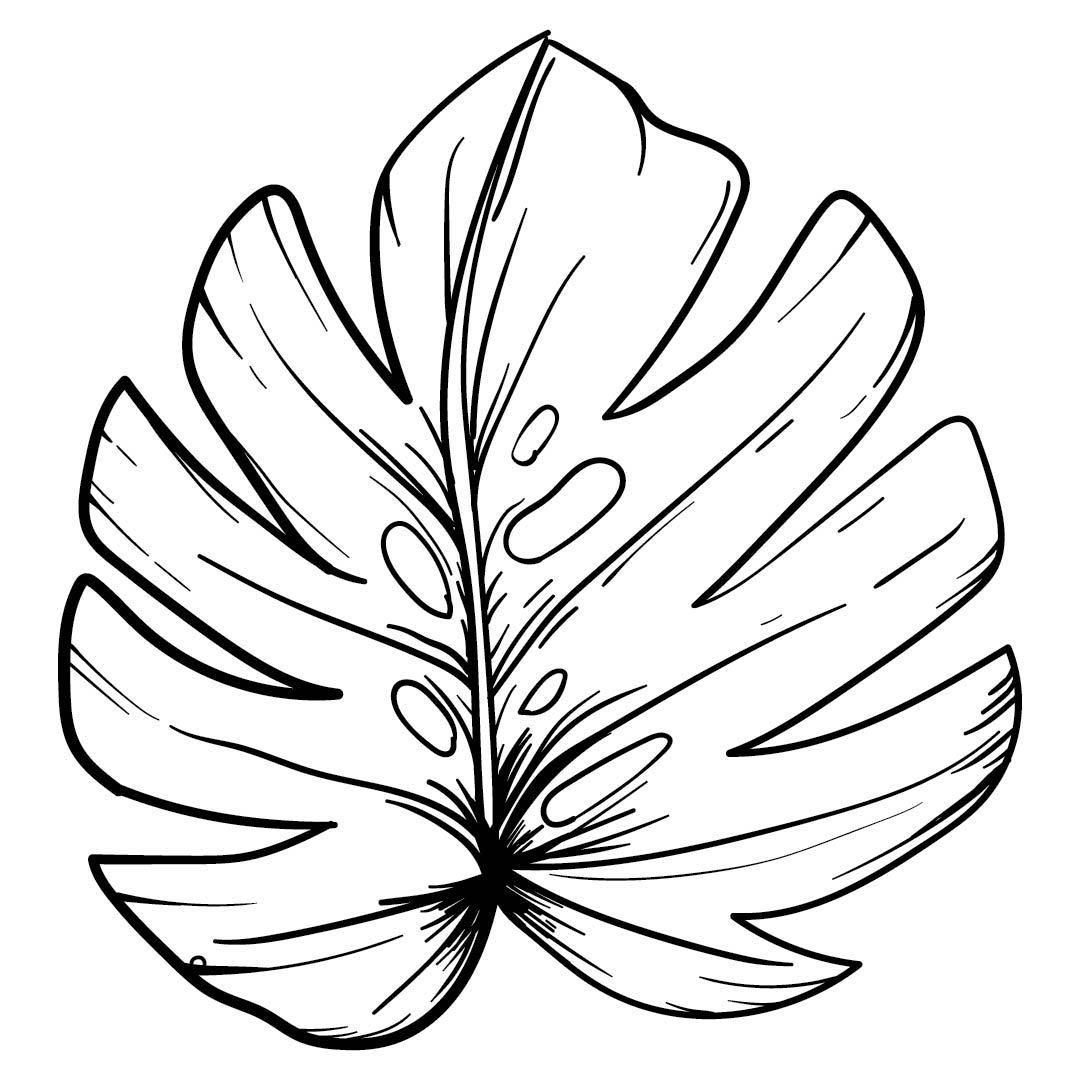 6 Best Images of Leaf Tracers Printable - Maple Leaf Coloring Page