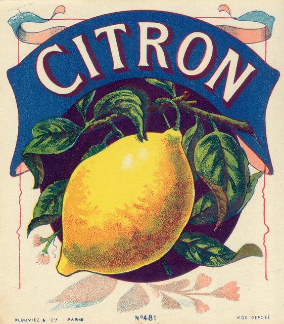 7-best-images-of-printable-vintage-tags-with-lemons-lemon-botanical