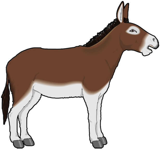 4 Best Images of Printable Picture Of A Donkey Donkey Coloring Pages