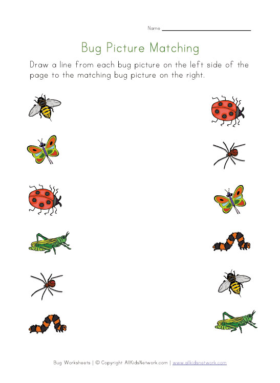 6 Best Images of Free Printable Bug Worksheets - Free ...