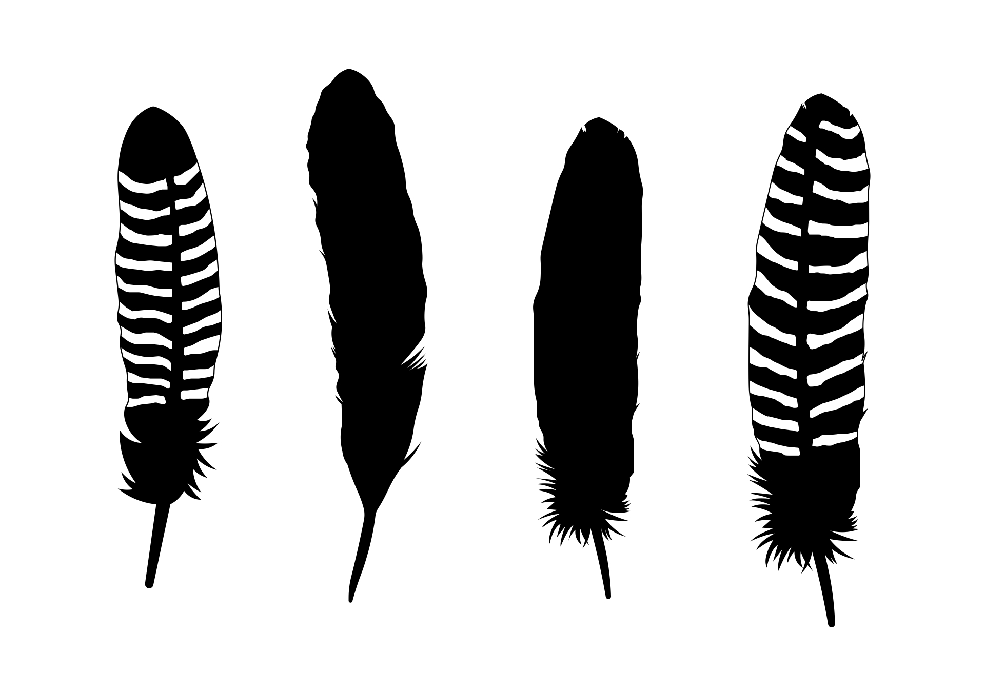 4 Best Images of Feather Pattern Printable - Free Printable Feather