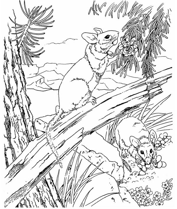 7 Best Images Of Printable Pyrography Patterns Free Pyrography 7 Best Images Of Printable Pyrography Patterns Free Pyrography