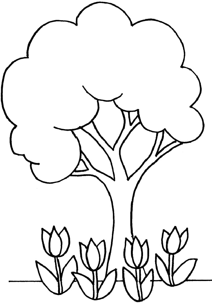 magnolia flower coloring pages - photo #36