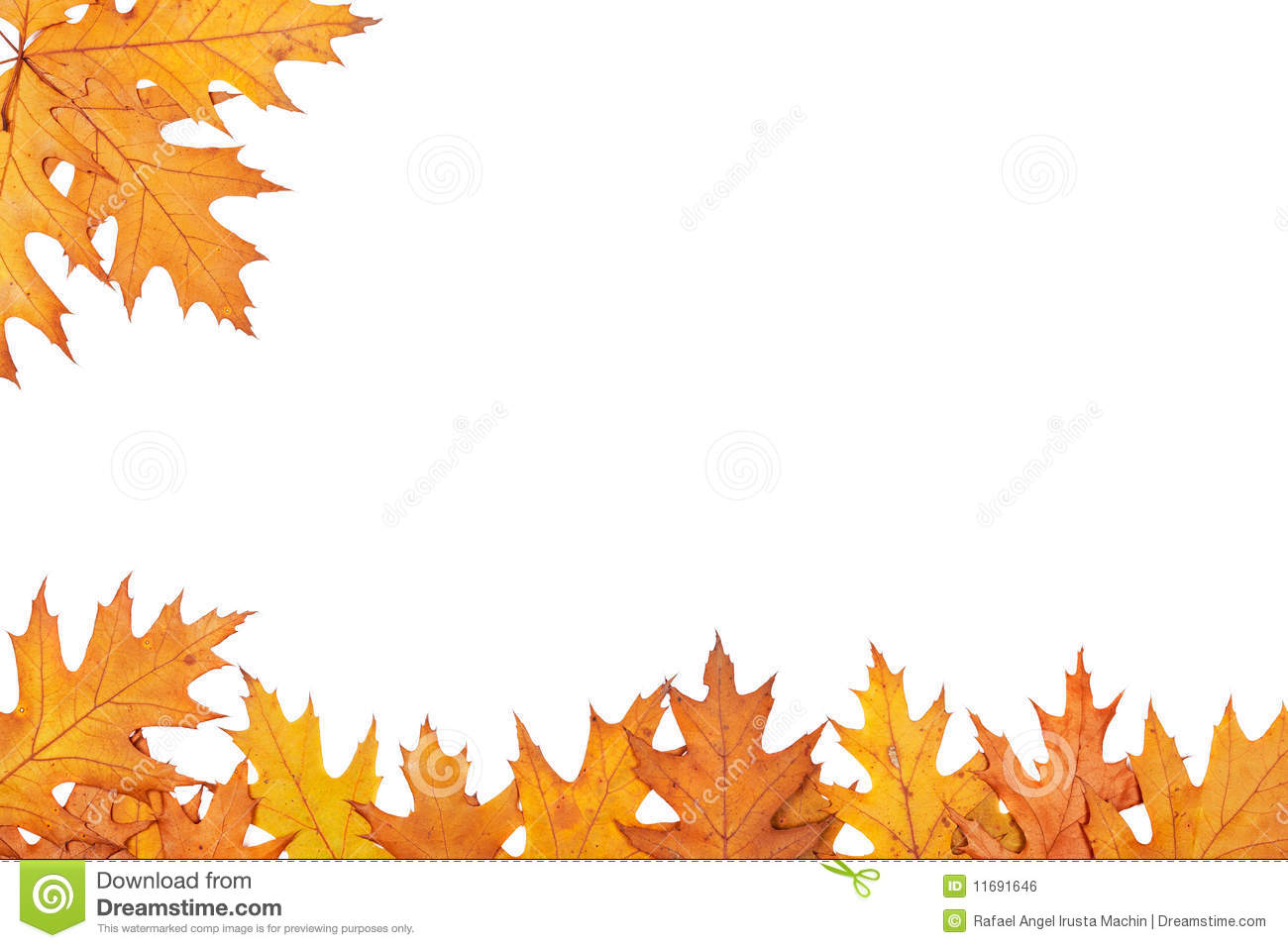 free printable clip art fall leaves - photo #18