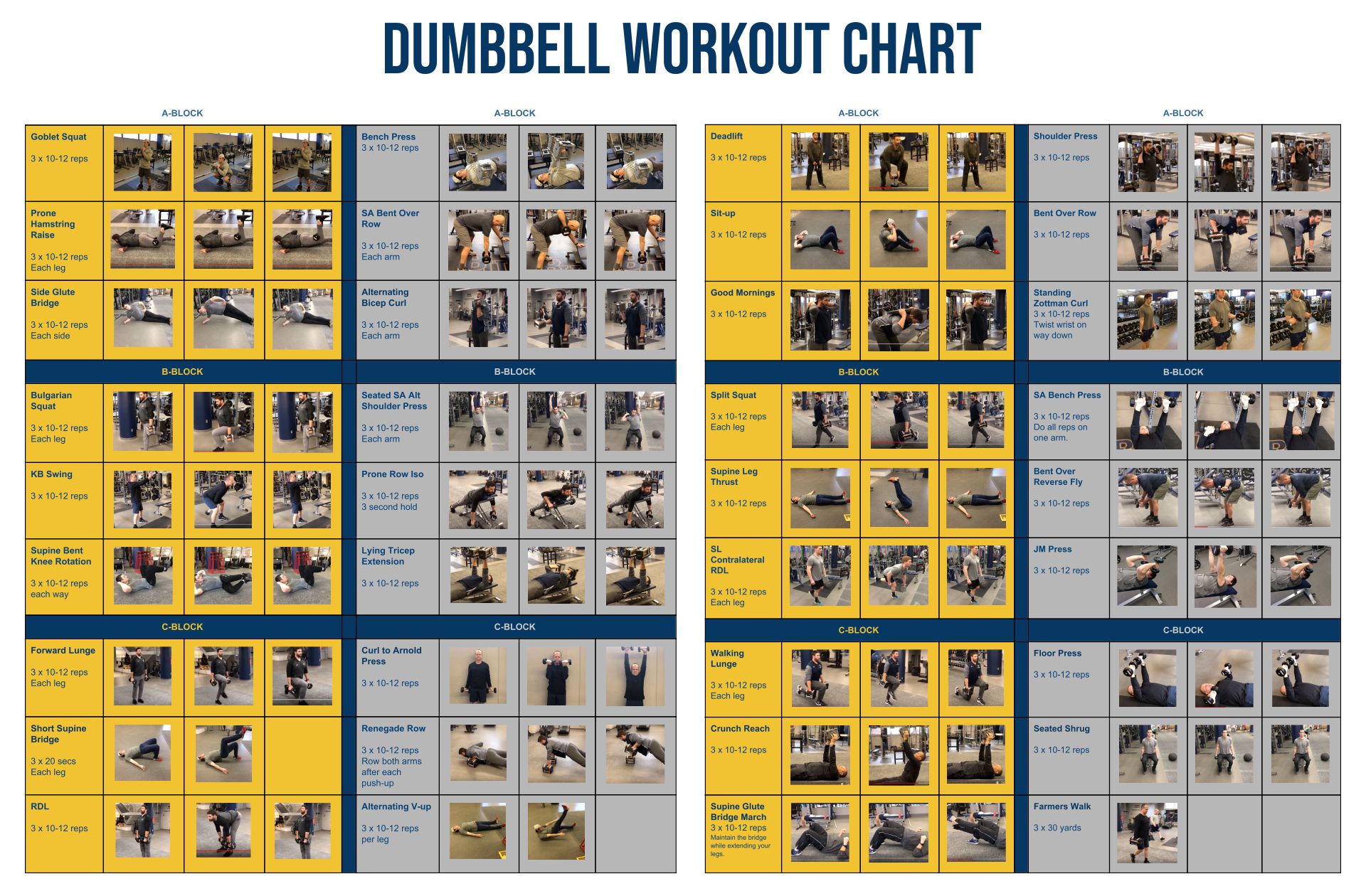 Dumbbell Exercises Chart Printable