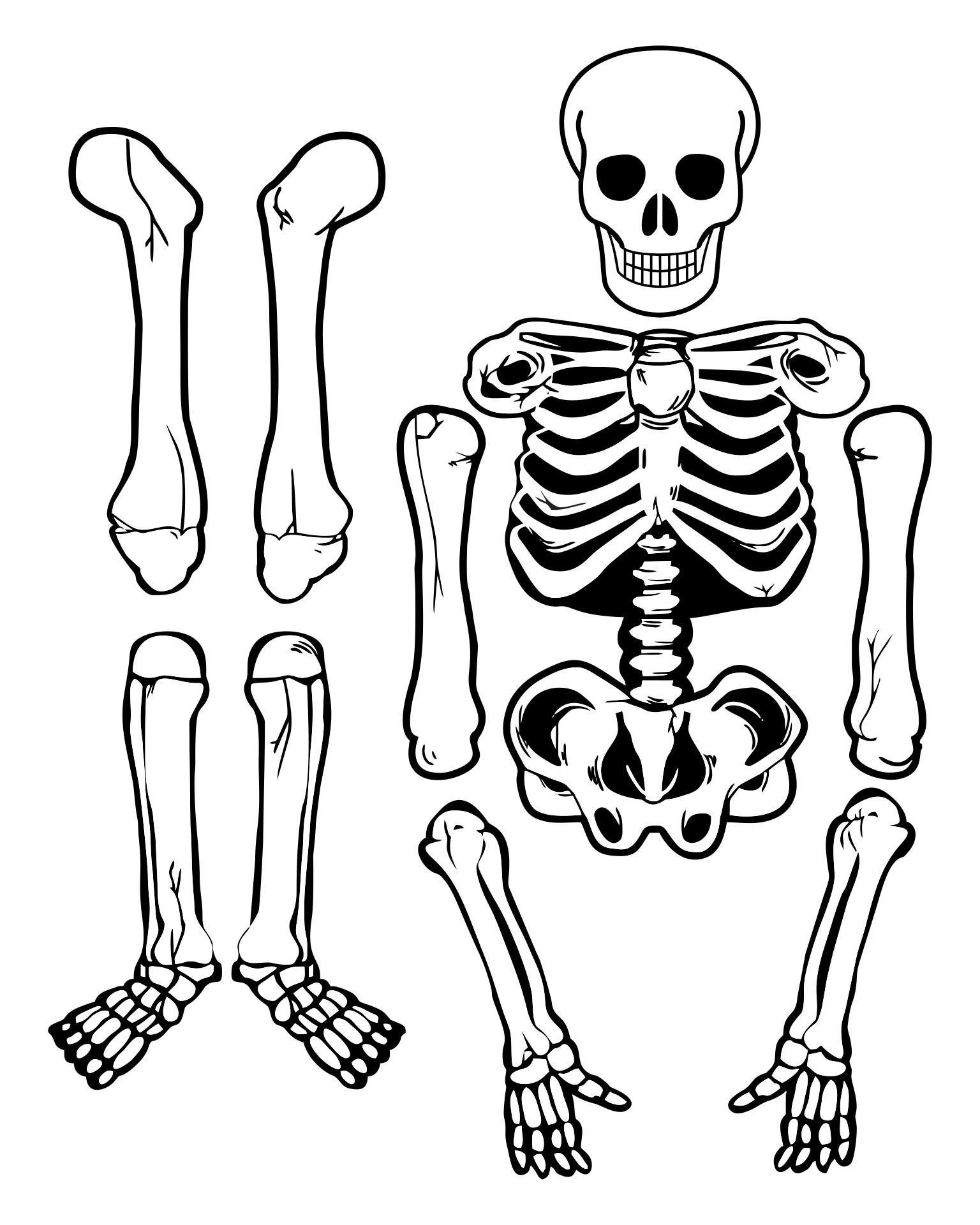 Cut Out Skeleton Template Large