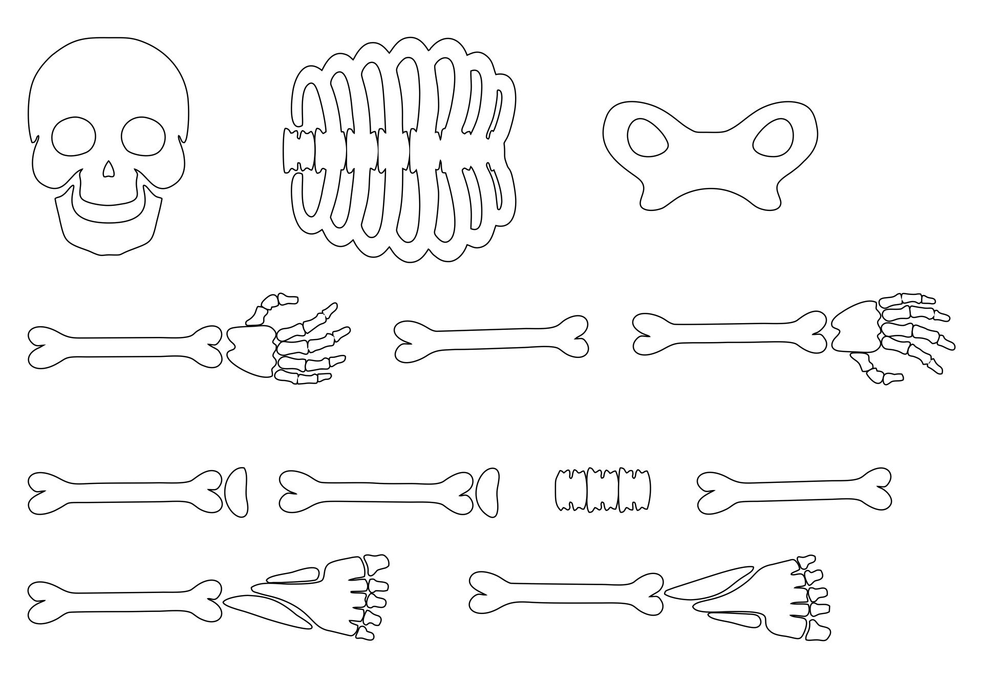 Large Printable Skeleton Bones