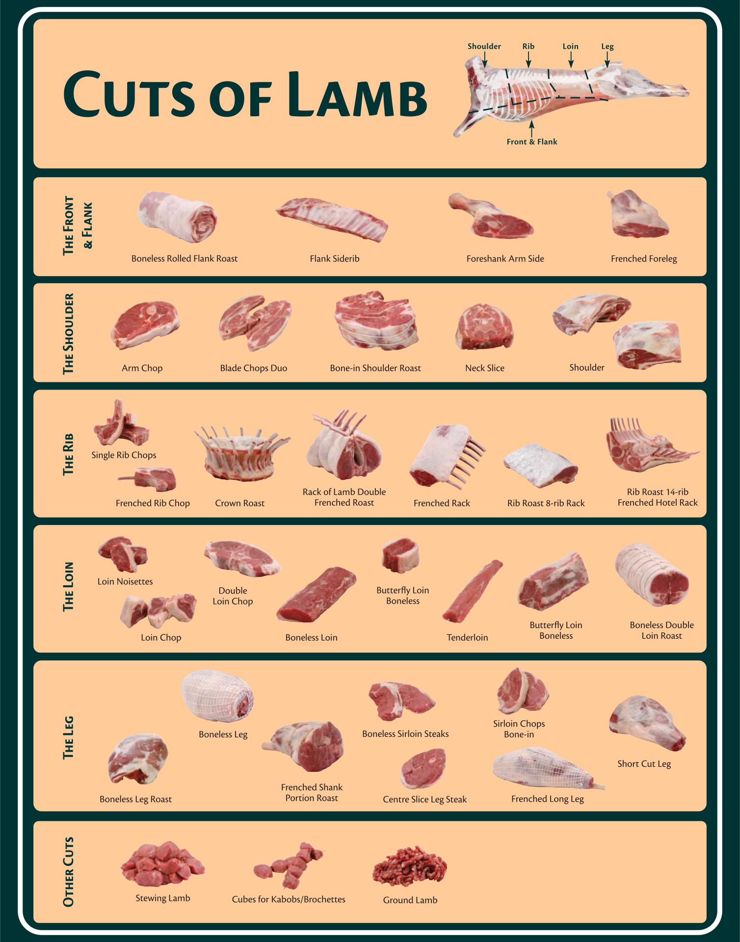 Meat Cuts Lamb Chart Printable