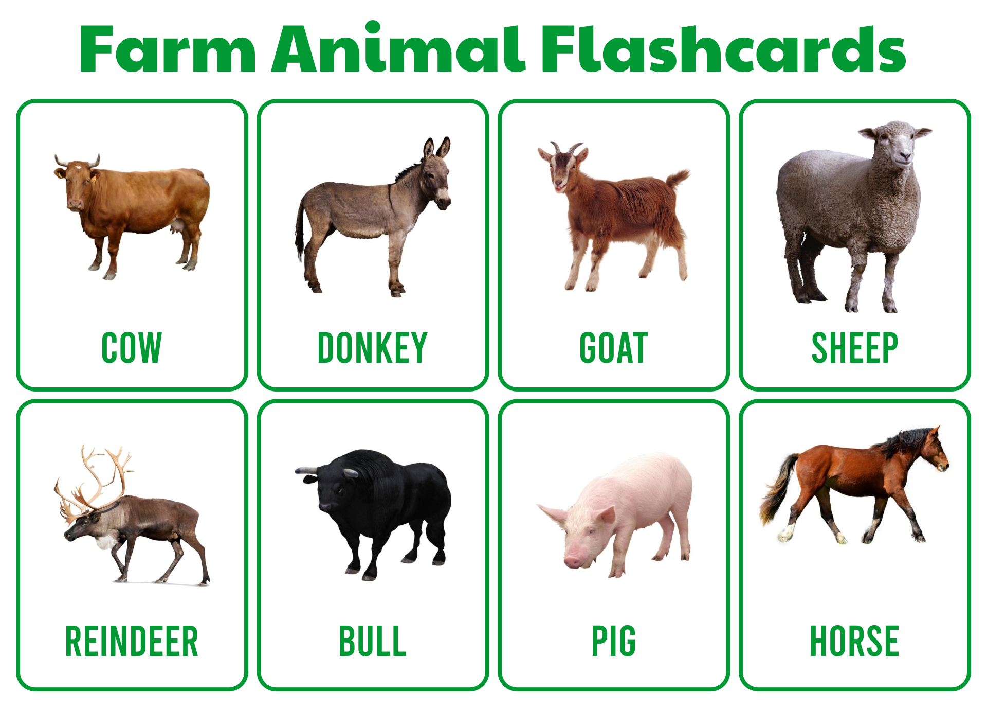Printable Farm Animal Flashcards