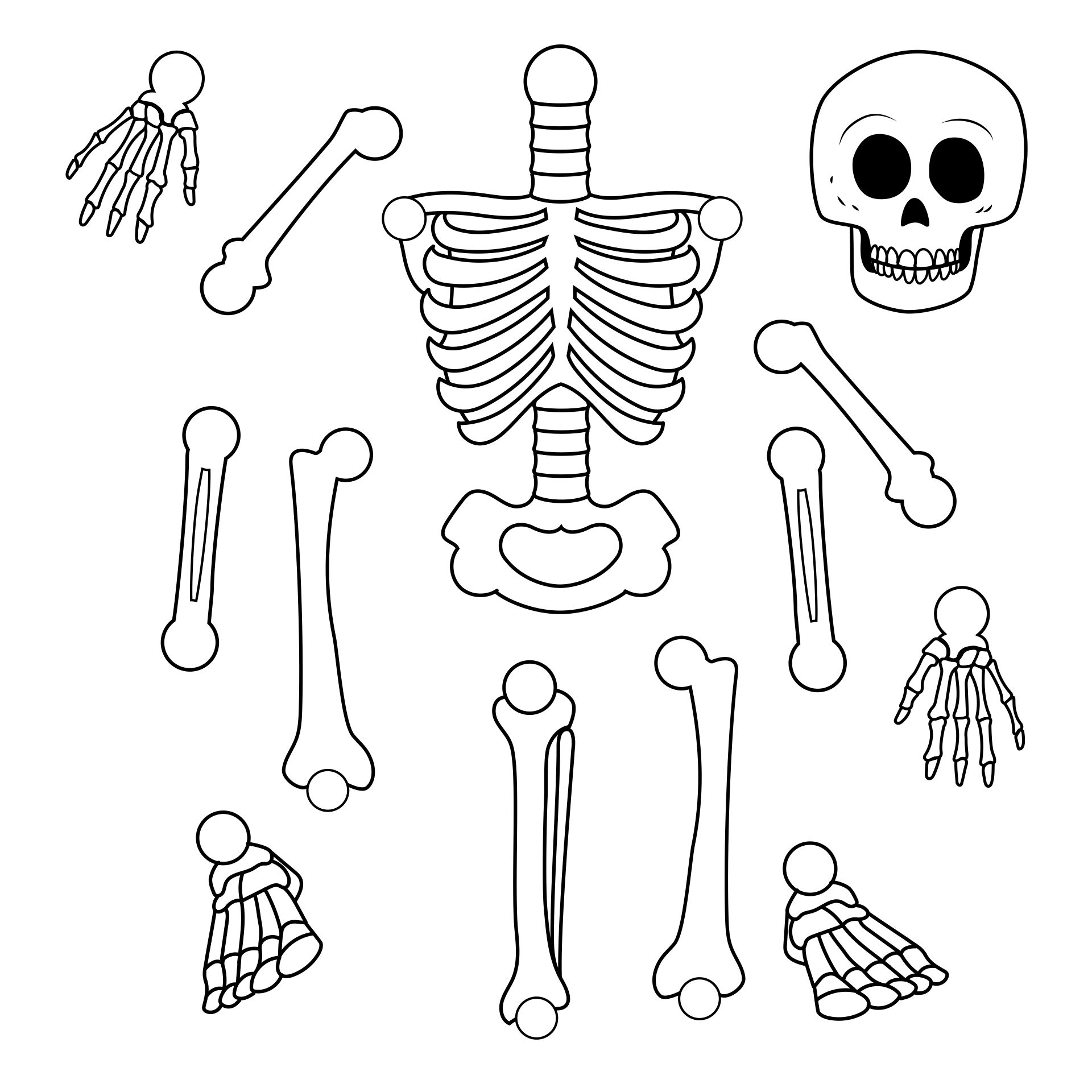Printable Skeleton Template Cut Out