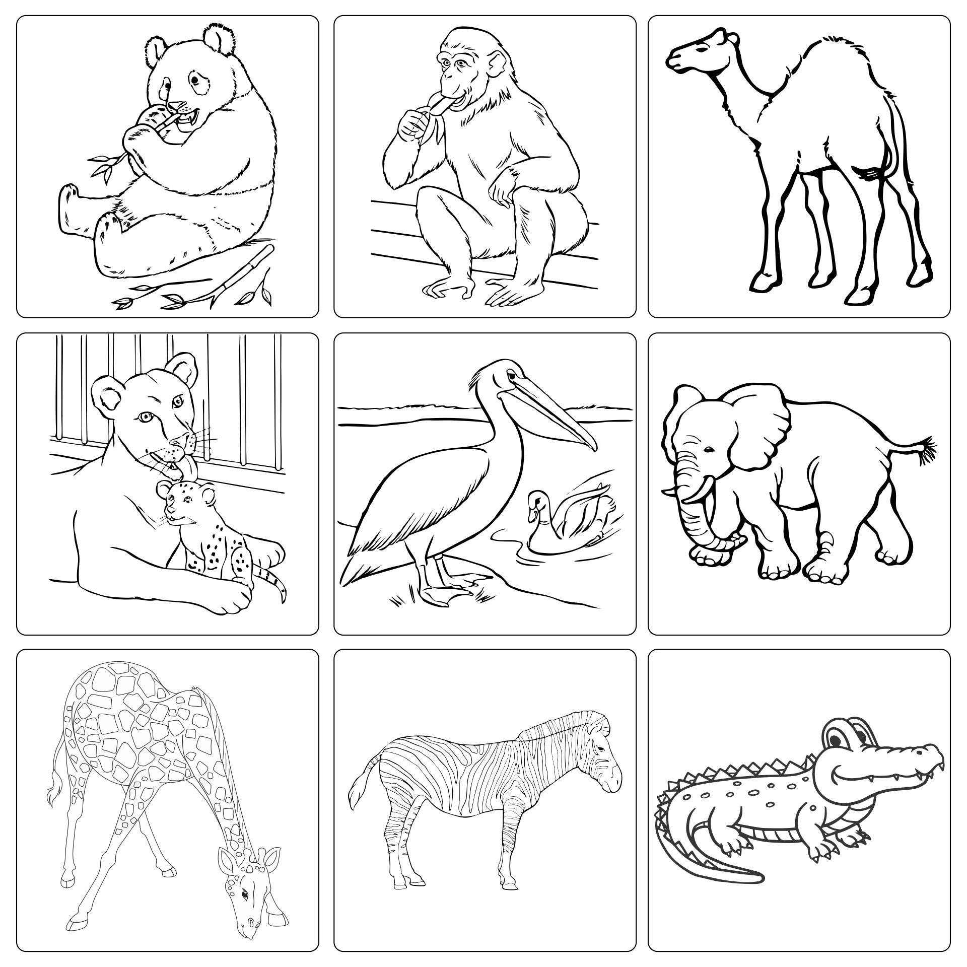 Dear Zoo Colouring Sheets Printables