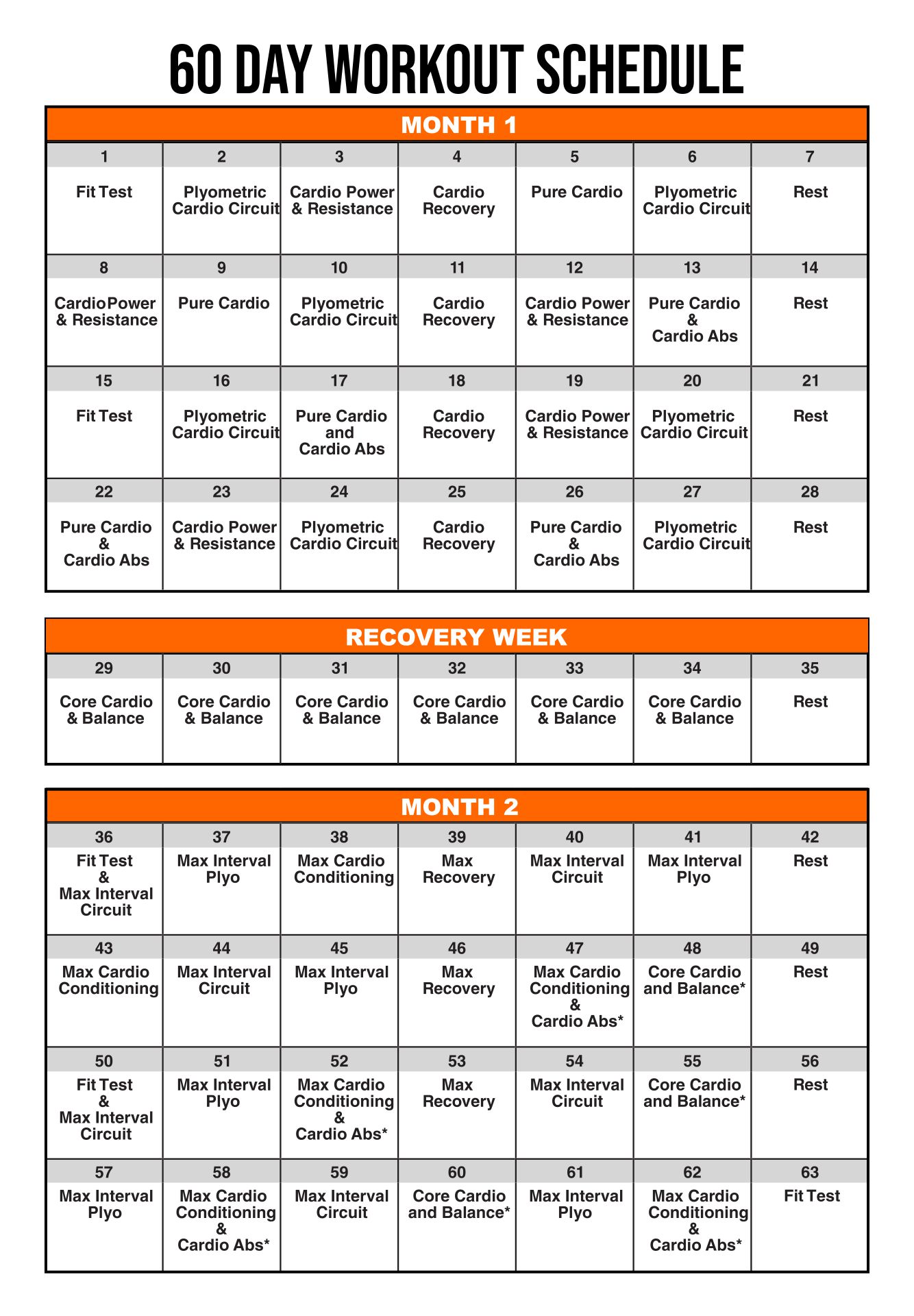 Printable Insanity 60 Day Workout Schedule